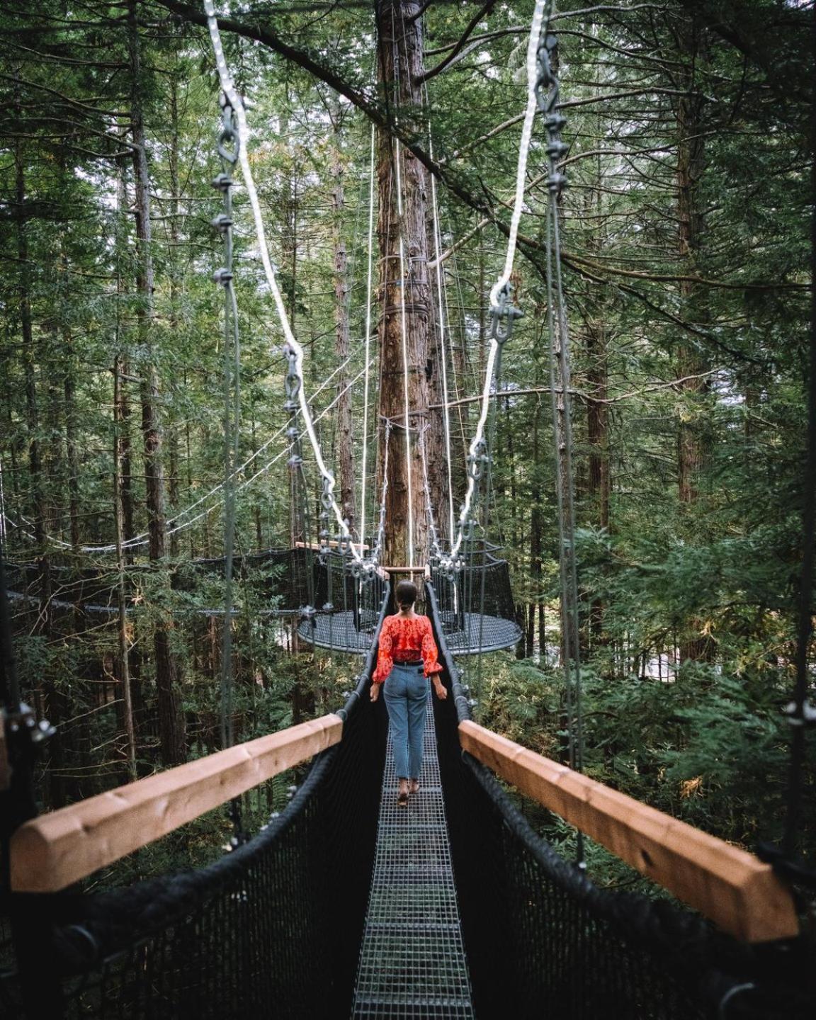 Matamata Lodge Экстерьер фото